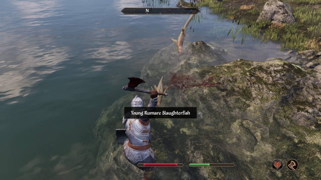 Fighting a young Rumare Slaughterfish