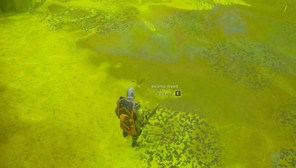 How to get Swamp Weed & Thread in RuneScape: Dragonwilds