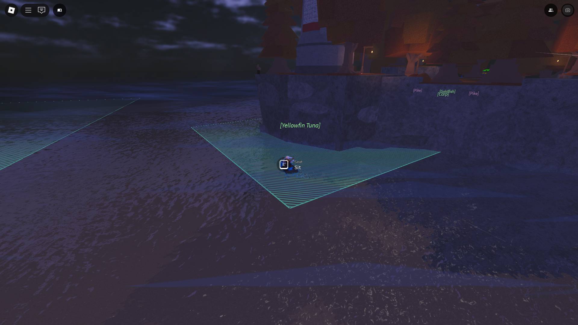 Yellowfin Tuna spot at the back of Moosewood Lighthouse