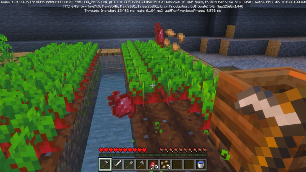 Minecraft Harvesting Beetroots