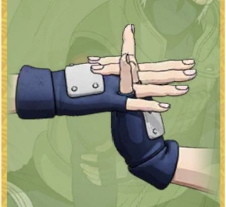 Ninjutsu Sign 8