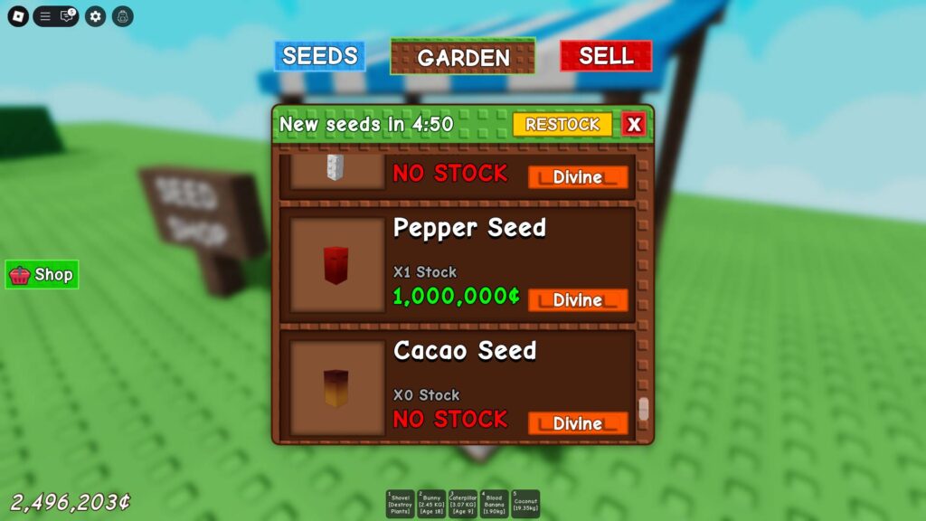 Pepper Seed in stock at the Seed Shop