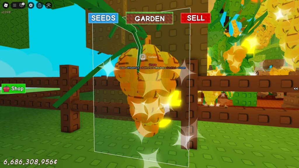 A Grape with the Sundried Mutation