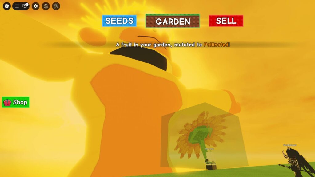 A player showing their Sunflower during the Sun God Event