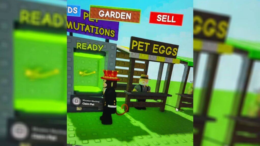 The new set up for the Pet Eggs during the Pet Mutation Update in Grow a Garden