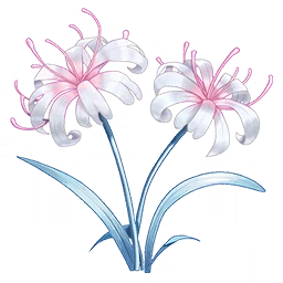 WuWa character Ascension material Afterlife