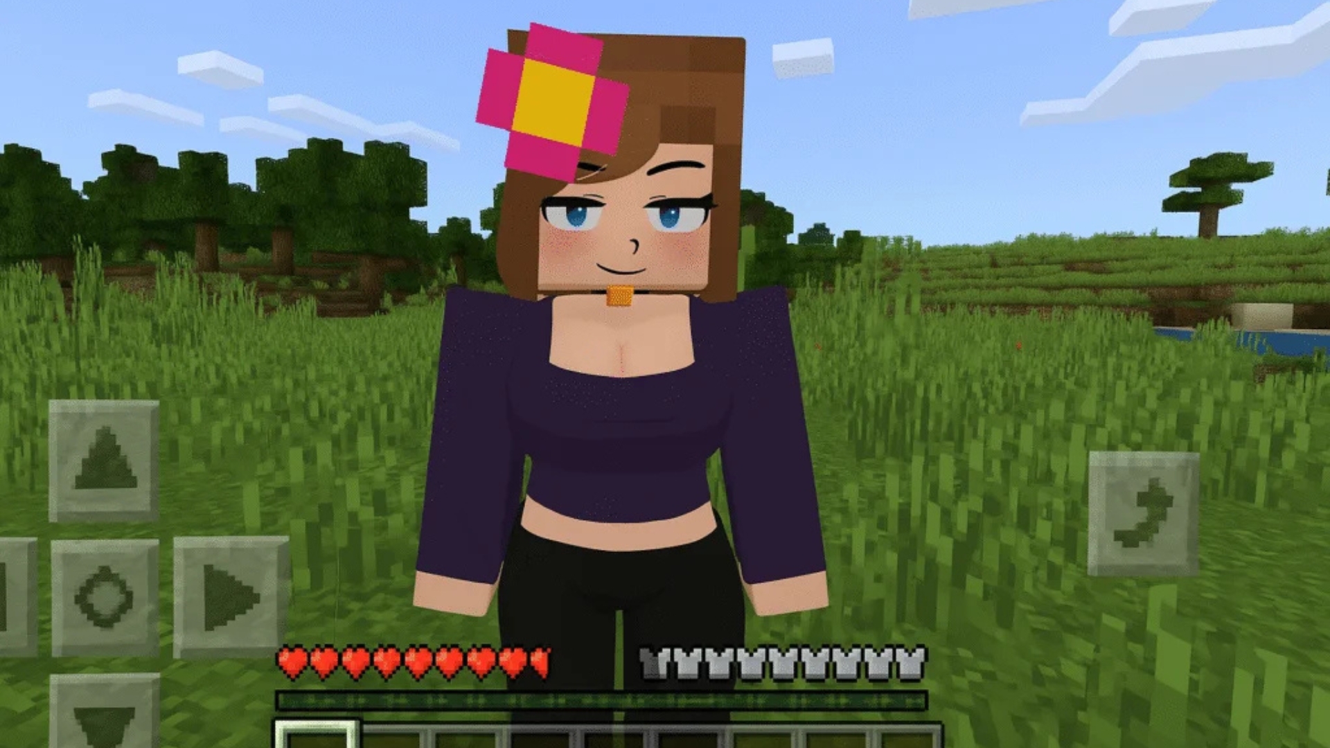 What is the Minecraft Jenny mod?