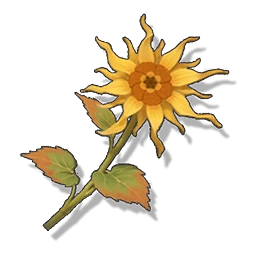 Ascension material in Wuthering Waves: Luminous Calendula