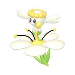 White Flower Flabébé