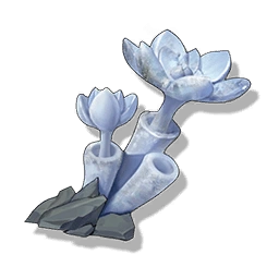 It's an image of the Wuthering Waves material Stone Rose