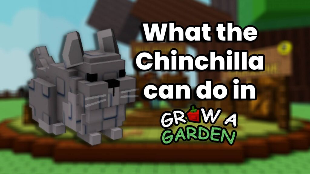 What does the Chinchilla do in Grow a Garden?
