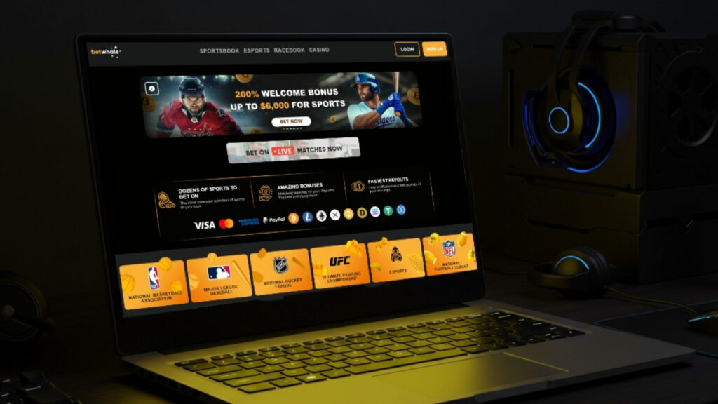 BetWhale Casino Review – Is BetWhale Still Legit in 2026?