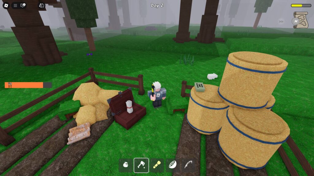 Bandage found in a chest