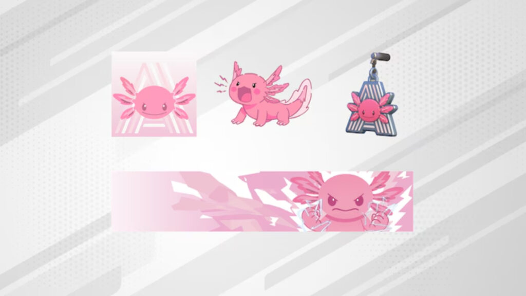 Once Again 2025 Finals Bundle