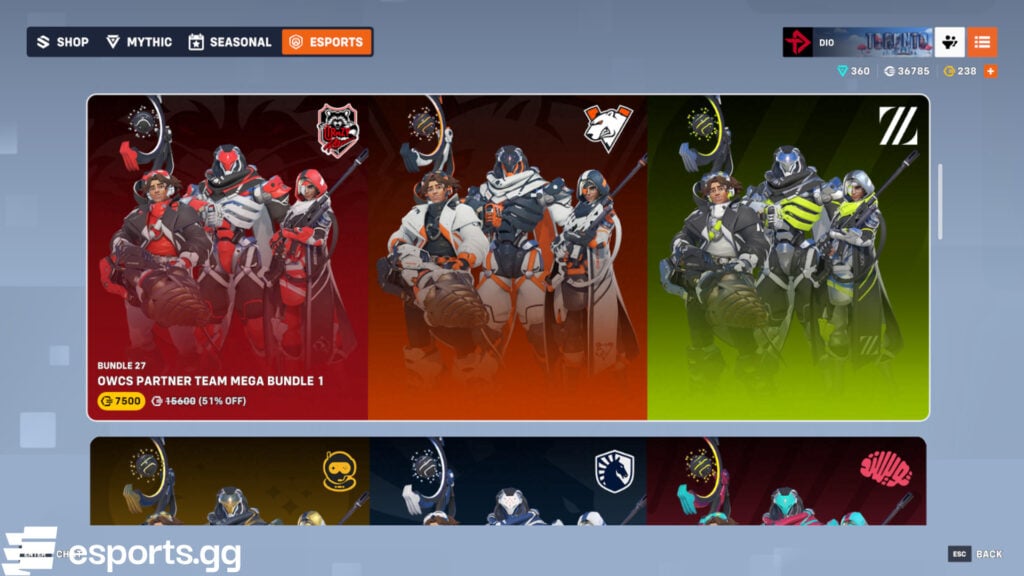 OWCS Partner Team skins