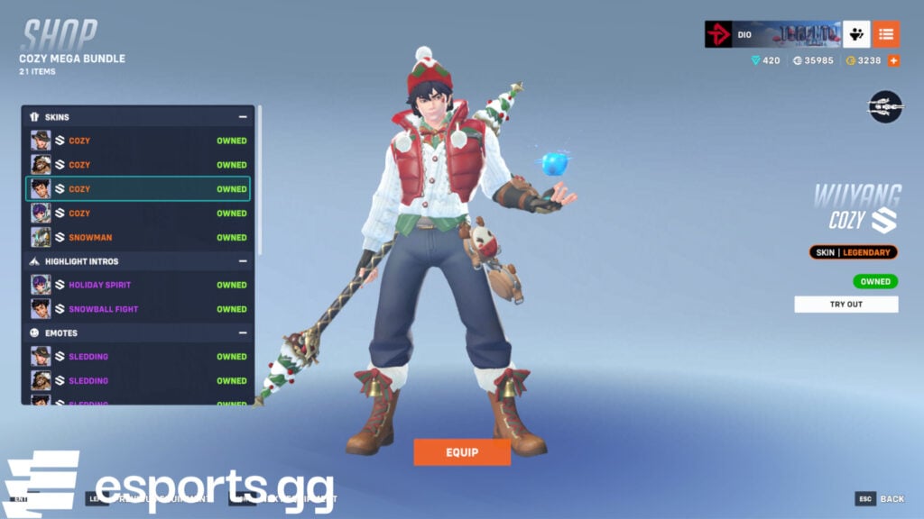 Overwatch 2 cozy skins