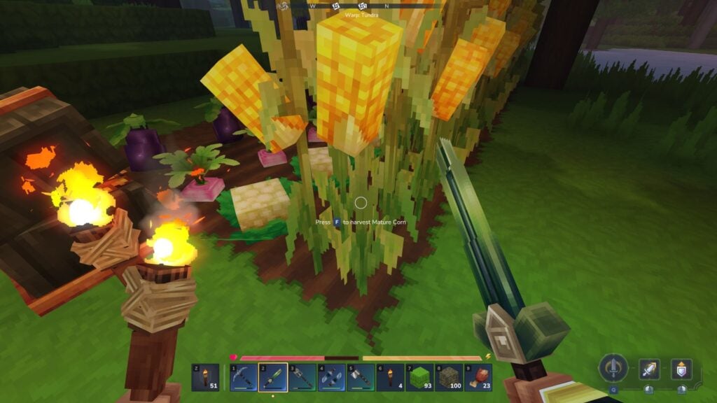 Hytale Update 2 - eternal crops no longer break from weapon damage