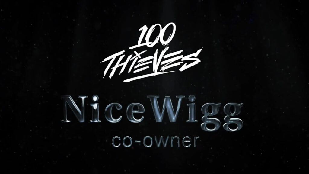 nicewigg 100t