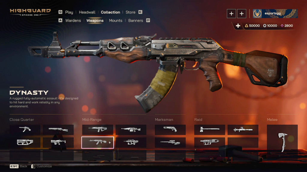 Highguard  Dynasty Assault Rifle