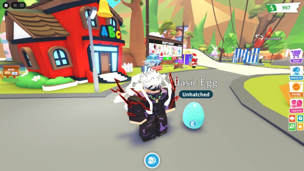 Basic Egg in Adopt Me!