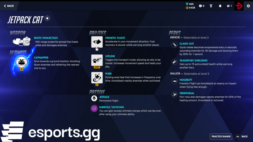 how to fix jetpack cat overwatch