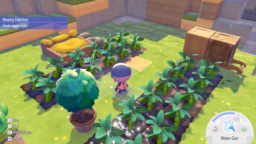 Planted beans in Pokémon Pokopia